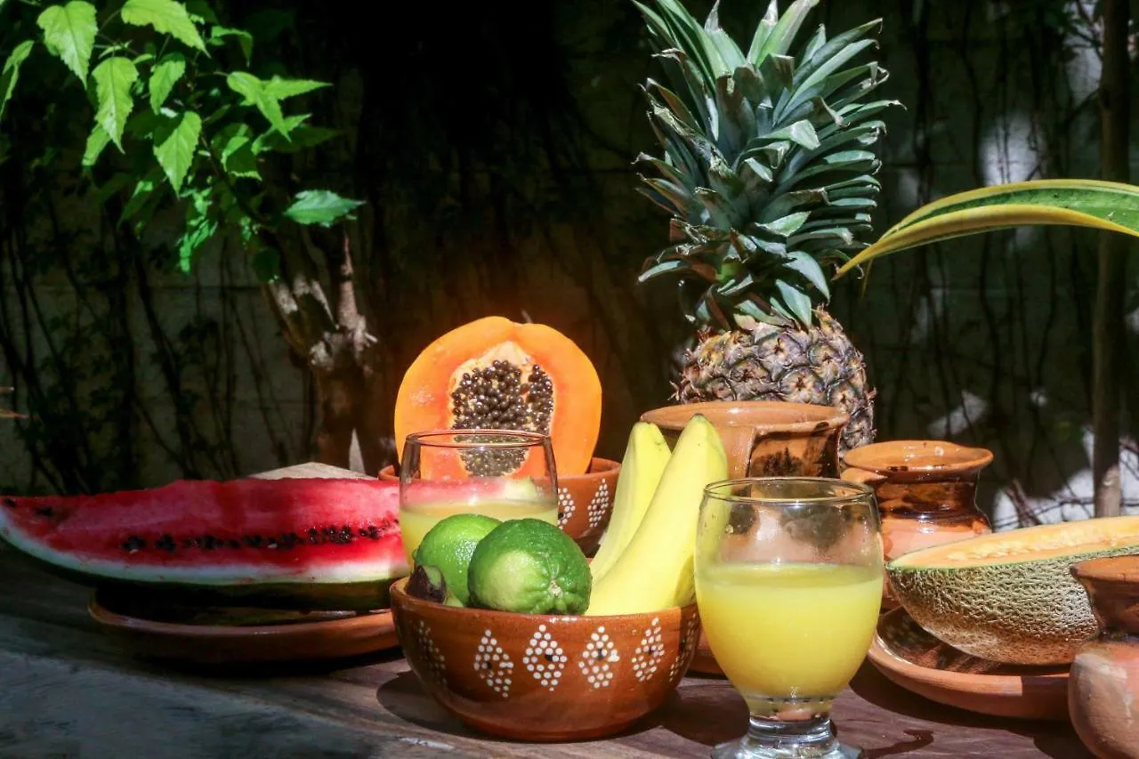 신데 델 카르멘 Cactus House 빌라 멕시코